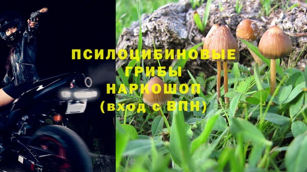 дмт Алексеевка