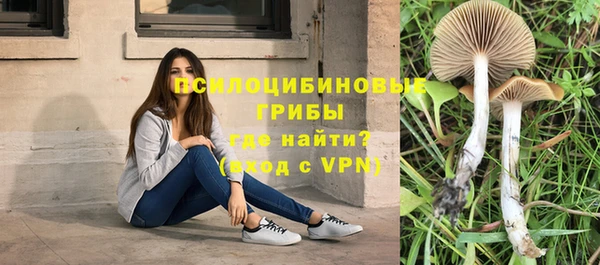 дмт Алексеевка