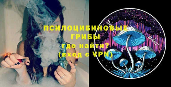 спайс Алзамай
