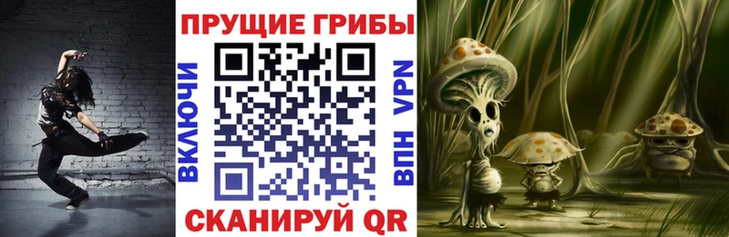 Псилоцибиновые грибы Psilocybe как найти наркотики Красноуральск